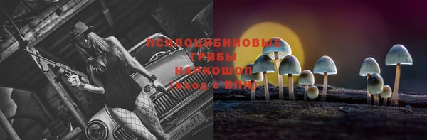 мдпв Вязьма