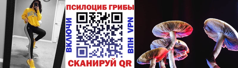 купить закладку Неман Псилоцибиновые грибы ЛСД